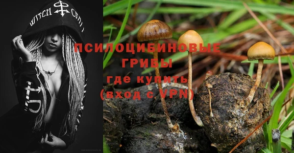 прущий лед Алексин