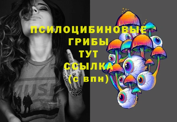 гидра Алзамай