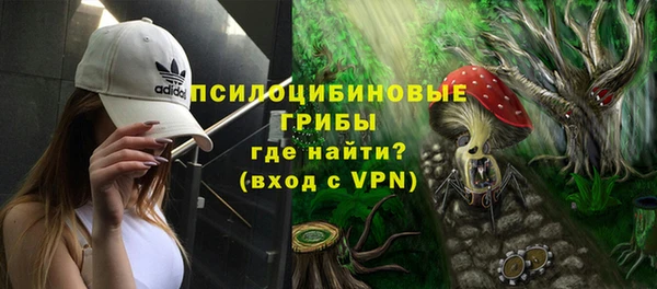 гидра Алзамай