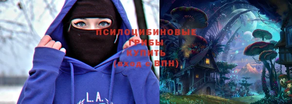 гидра Алзамай
