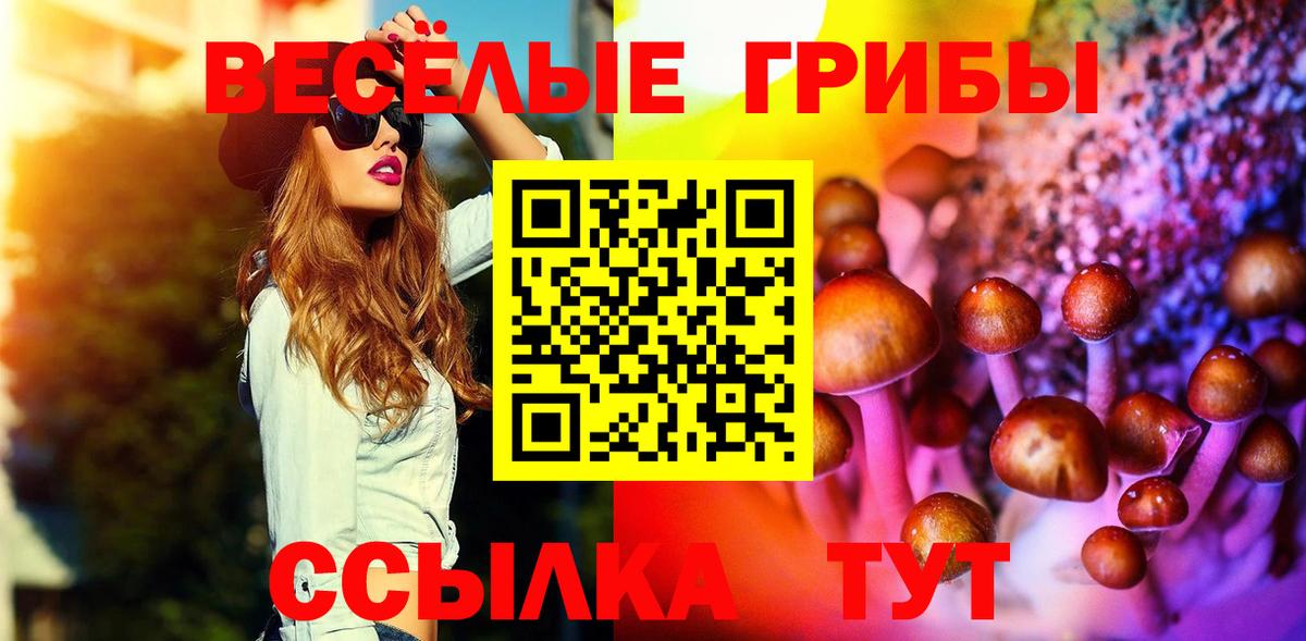 Псилоцибиновые грибы Magic Shrooms Родники