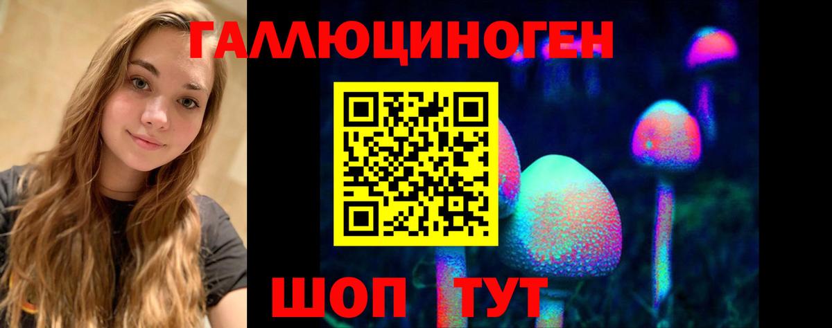 Галлюциногенные грибы GOLDEN TEACHER  Вход с VPN  Родники  Псилоцибиновые грибы мицелий 